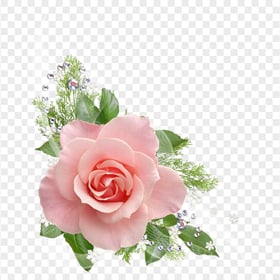 Pink Wedding Rose Flower HD PNG