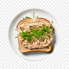 Top View Tasty Tuna Melt Sandwich With Cilantro HD PNG