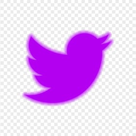 HD Purple Neon Twitter Logo PNG