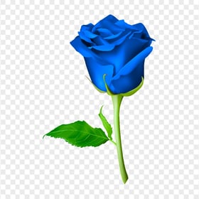 HD Blue Flower Rose With Green Leaf Illustration PNG