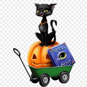 Halloween Characters Black Cat Spell Book Illustration
