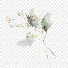 FREE Watercolor Leaves Branch PNG
