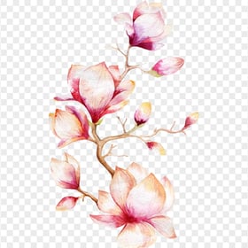 HD Pink Cute Watercolor Magnolia Flowers PNG