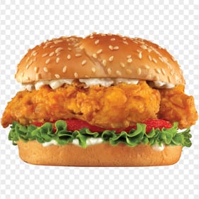 Download Chicken Sandwich Burger PNG