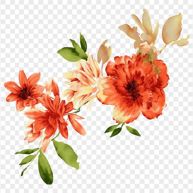Orange Watercolor Blooming Flowers HD PNG