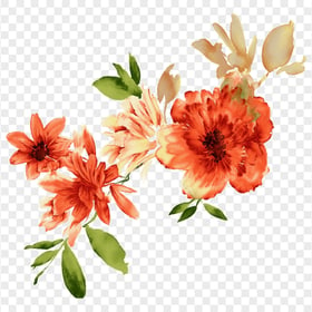 Orange Watercolor Blooming Flowers HD PNG