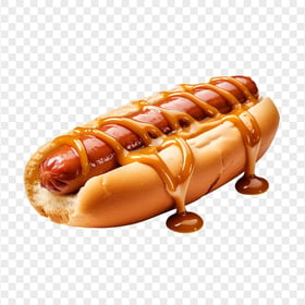 Hot Dog Sandwich with Barbecue Sauce HD Transparent PNG