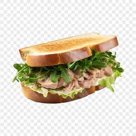 Transparent HD Delicious Fish Sandwich with Green Lettuce