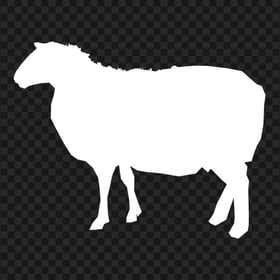 Sheep White Silhouette Side View PNG