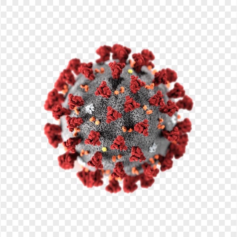 3D Covid 19 Corona Virus Shape Icon Structure