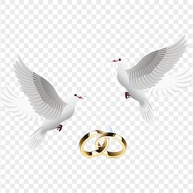 Love Wedding Heart Pigeon Gold Rings
