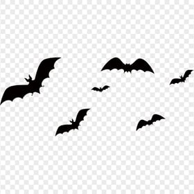 Black Silhouette Of Group Of Bats Flying