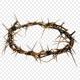 Real Branch Crown Of Thorn Jesus Christianity