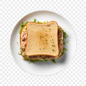 HD Top View Classic Tuna Fish Sandwich Transparent PNG