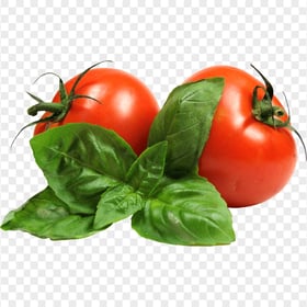 Two Fresh Tomatoes with Herbs HD Transparent Background