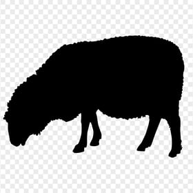 Transparent HD Black Sheep Eating Grass Silhouette