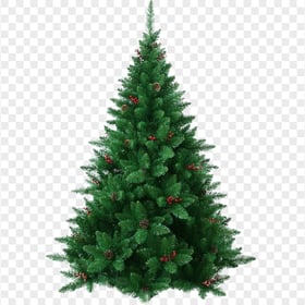 Realistic Christmas Holiday Tree FREE PNG