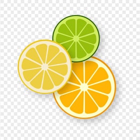 Citrus Fruits Slices Illustration HD Transparent Background