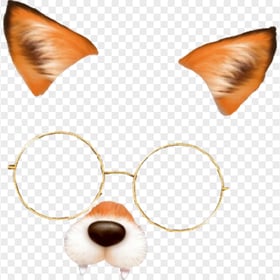 Snapchat Cute Dog Puppy Filter With Glasses PNG Image