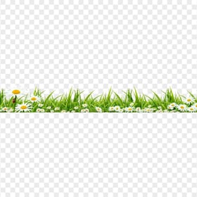HD Grass With White Flowers Border PNG