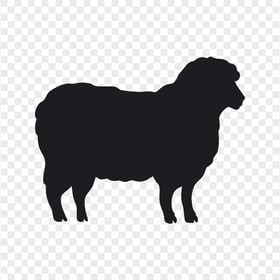 Standing Sheep Black Silhouette Shape