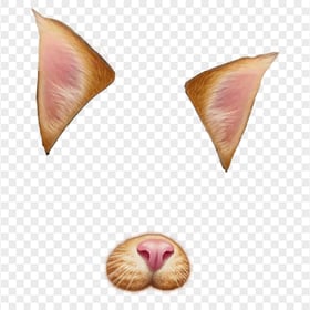 Snapchat Cat Face Filter Ears And Nose PNG Image