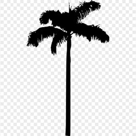 HD Black Palm Tree Silhouette PNG