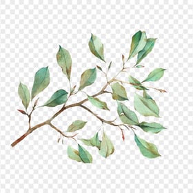 PNG Painting Watercolor Tree Branch With Green Leaves