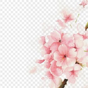HD Pink Watercolor Flowers Canva Effect PNG
