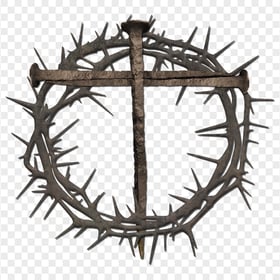 Crown Of Thorns Metal Nail Cross Symbolism Branch