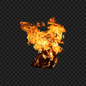 HD Burning Paper On Fire Transparent PNG