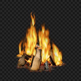 Download Real Bonfire Campfire Wood Fire PNG