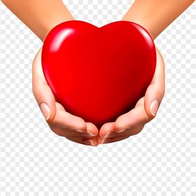 Illustration Hands Holding Red Heart HD PNG