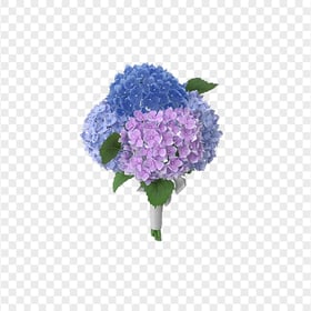 Real Blue Purple Hydrangea Flower