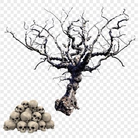 Halloween Tree And Skeleton Heads HD PNG