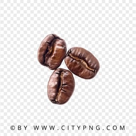 HD Three Roasted Brown Coffee Beans Transparent PNG