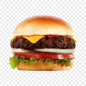 Cheese Buffalo Burger Fast Food Download PNG