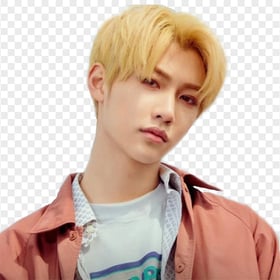 Straykids Felix Lee