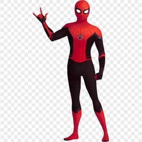 HD Black Spider Man Character PNG