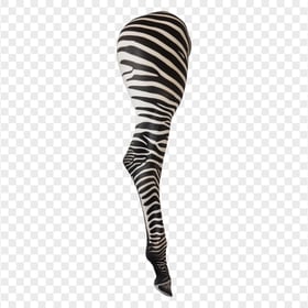 Wild Zebra Animal Hoof and Leg HD Transparent Background