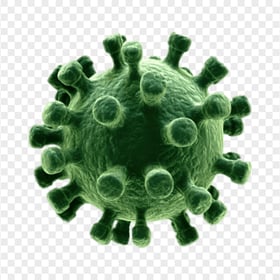 3D Covid 19 Coronavirus Virus Shape Structure Icon