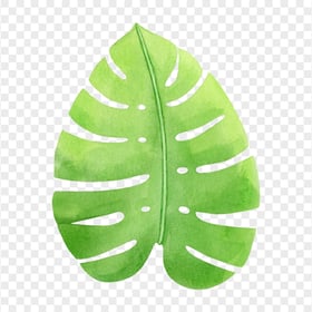 HD Tropical Monstera Leaf Watercolor PNG