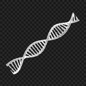 White DNA String PNG Image