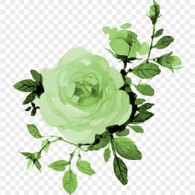 HD Green Painting Flower And Leaves PNG