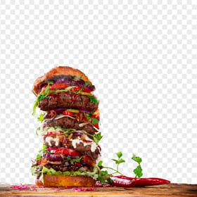 Big Spicy Hamburger Burger HD PNG