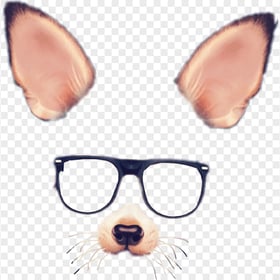 Snapchat Dog Puppy Filter Glasses Ears & Nose PNG Image