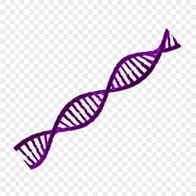 HD Purple DNA String Transparent Background