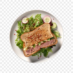 Top View Tuna Fish Sandwich and Veggies HD Transparent PNG