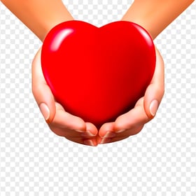 3D Realistic Hands Holding Red Heart HD PNG