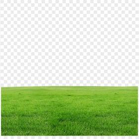 HD Green Grass Field Lawn PNG
